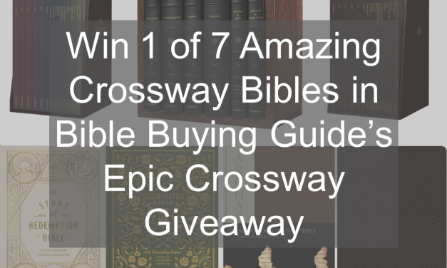 Win One of Seven ESV Bibles