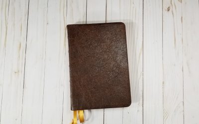 CBP Turquoise Reference Bible – Platinum Edition
