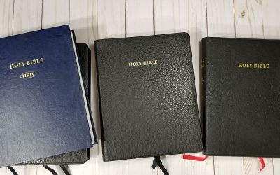 Cambridge Wide Margin Bibles Video Review