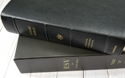 ESV Heirloom Study Bible Review
