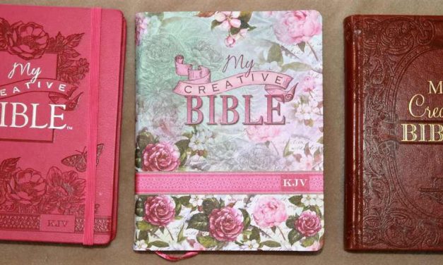 KJV My Creative Bible Review