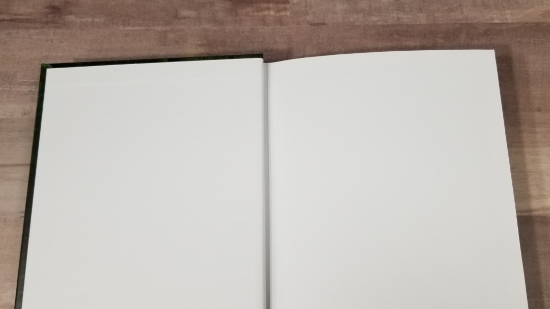 Hardcover Gray Snakeskin Blank Book 