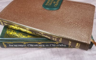 NIV Incredible Creatures and Creations Holy Bible Review