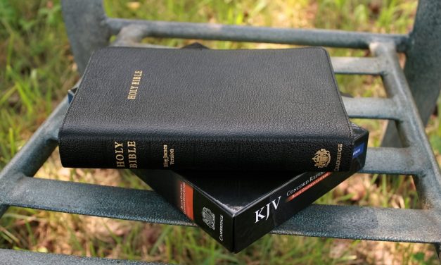 Cambridge Concord KJV Bible in Goatskin