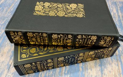 ESV Illuminated Bible Art Journaling Edition Review