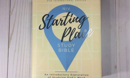 NIV Starting Place Study Bible Review