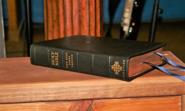 Schuyler’s NKJV Quentel – Bible Review