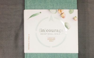 CSB (in)courage Bible Review