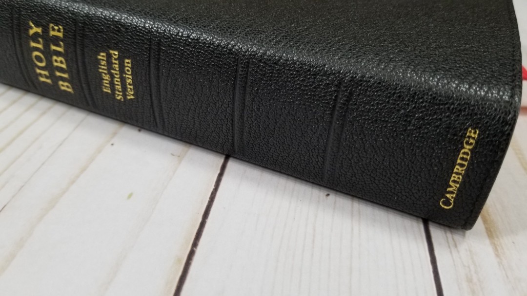 Cambridge ESV Clarion Goatskin (27) - Bible Buying Guide