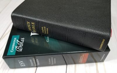 Cambridge ESV Clarion in Black Goatskin – Review