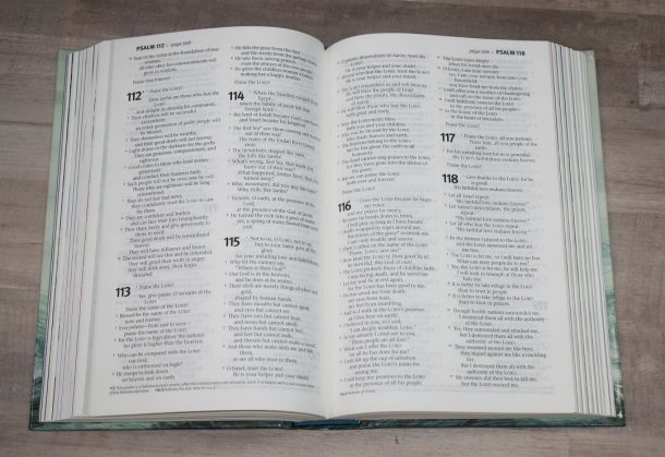 NLT Children's Bible Review - Bible Buying Guide
