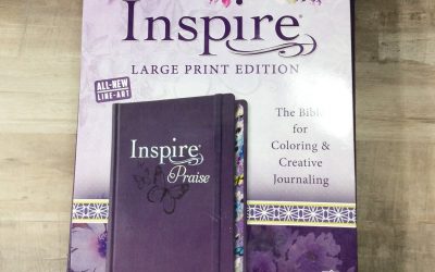 Large Print NLT Inspire Praise Bible Review
