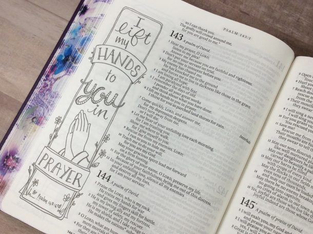 Large Print Inspire Praise Bible (7) - Bible Buying Guide