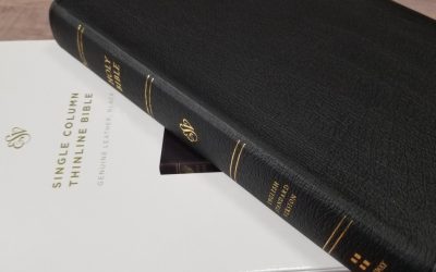 ESV Single Column Thinline Bible Review
