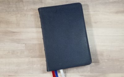 CBP Limited Edition Patriotic Turquoise in Blue Goatskin