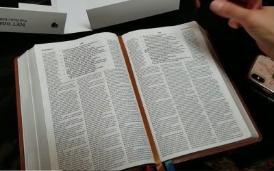 Thomas Nelson Bible Previews at CPE