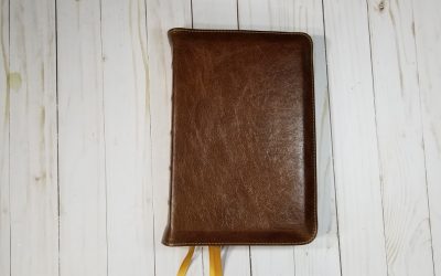 CBP Full Yapp Bibles