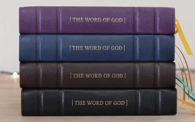 Humble Lamb KJV Lion Bible – Pre-order Info