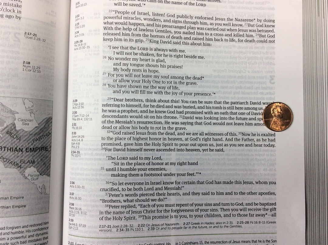 NLT Life Application Study Bible Standard Size Text
