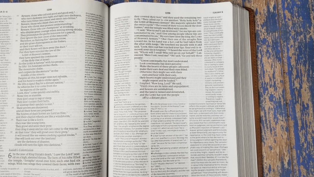 Thomas Nelson NET with Notes (20) - Bible Buying Guide