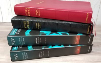 Bibles for Christmas 2019