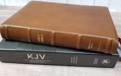 KJV Giant-Print Center-Column Reference Bible Brown (Premier Collection)