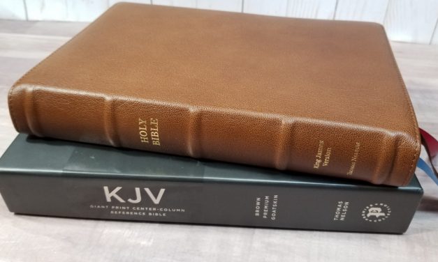 KJV Giant-Print Center-Column Reference Bible Brown (Premier Collection)