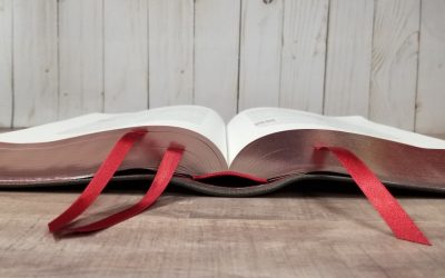 Bibles I’m Looking Forward to in 2020