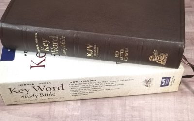 Hebrew Greek Keyword Study Bible in Brown Goatskin