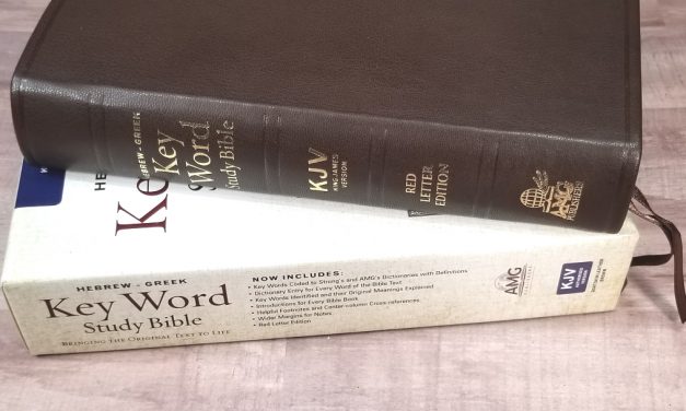 Hebrew Greek Keyword Study Bible in Brown Goatskin