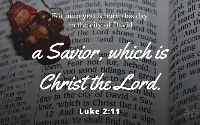 Merry Christmas From Bible Buying Guide!