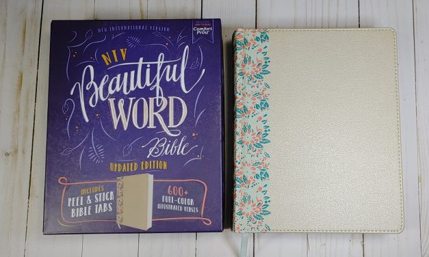 NIV Beautiful Word Bible Updated Edition Review