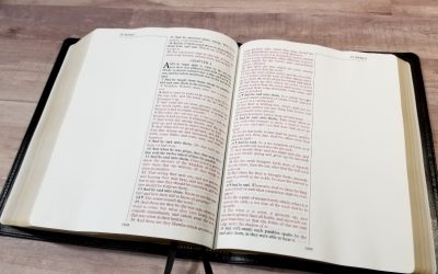 CBP Journaling Bible Review