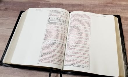 CBP Journaling Bible Review