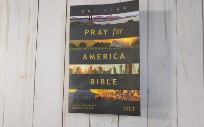 NLT Pray for America Bible Review