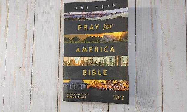 NLT Pray for America Bible Review