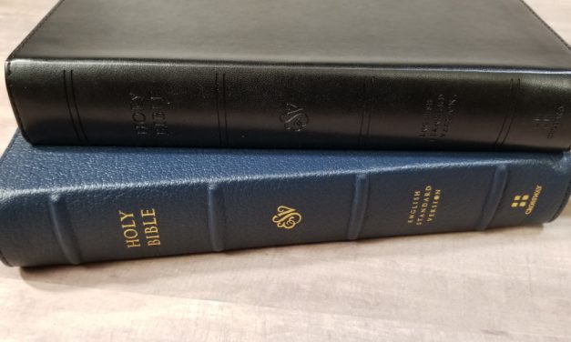 ESV Heirloom and TruTone Legacy Bible Review