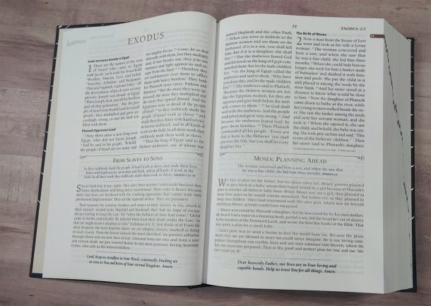 ESV Portals of Prayer Bible Review - Bible Buying Guide