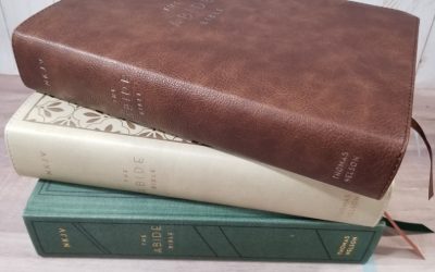 NKJV Abide Bible Review