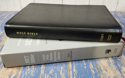 NET Bible Large Print Thinline Reference Edition Review