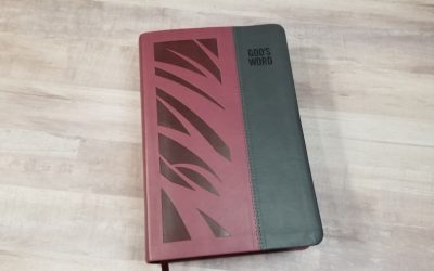 God’s Word Deluxe Wide-Margin Bible Review