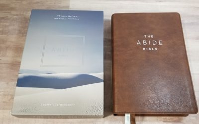 NET Abide Bible Review