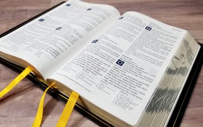 Humble Lamb KJV Lion Bible Review