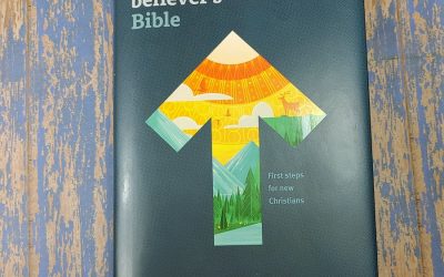NLT New Believer’s Bible Review