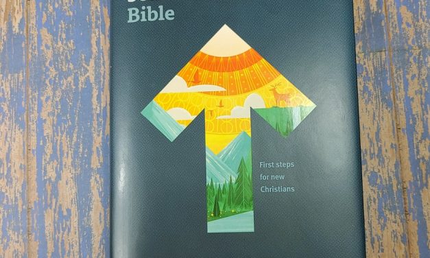 NLT New Believer’s Bible Review