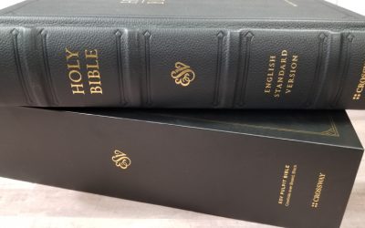 ESV Pulpit Bible Review