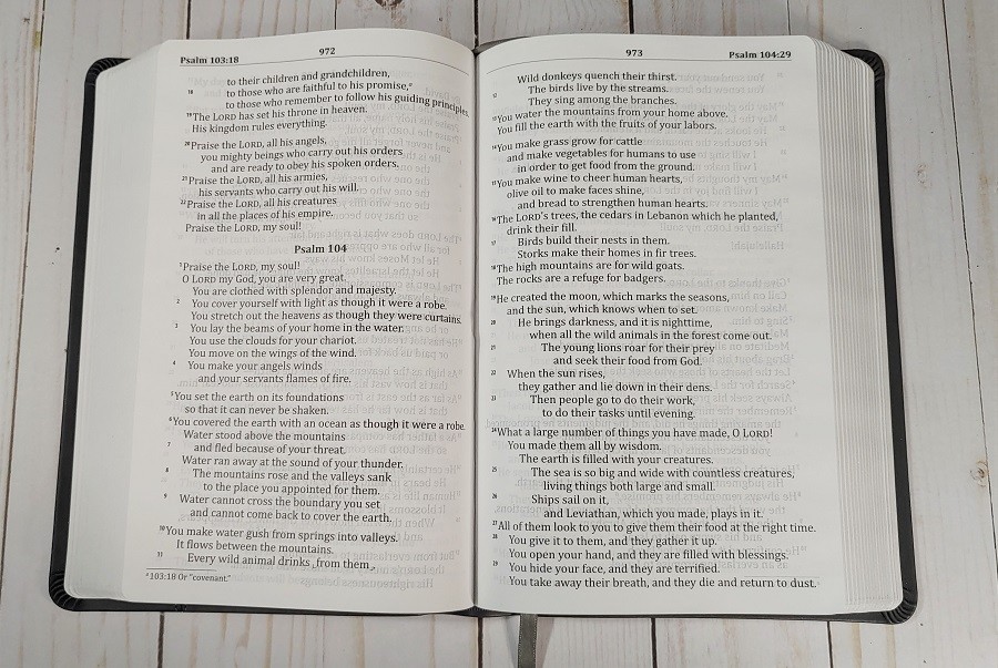 God's Word Deluxe Large Print Bible Psalms