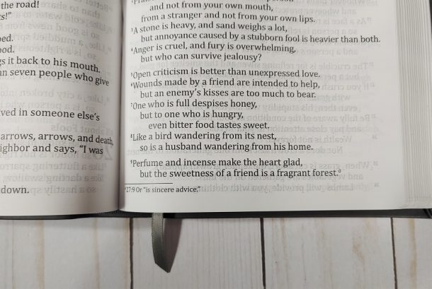 God's Word Deluxe Large Print Bible Review - Bible Buying Guide