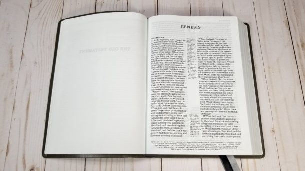 NASB 2020 Large Print Ultrathin Reference Bible - Bible Buying Guide