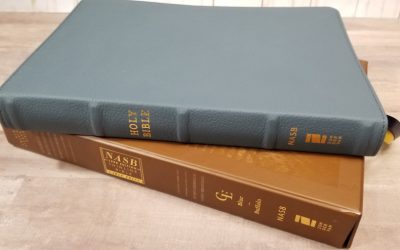 NASB Large Print Thinline Bible